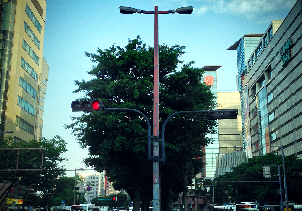 国・自治体事業支援